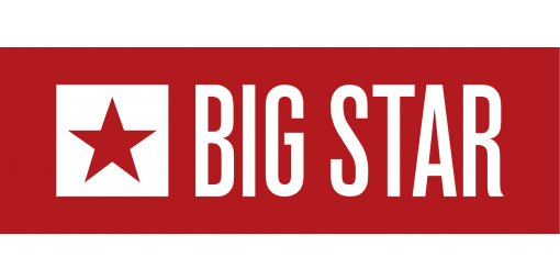bigstar_logo_poziom_2015_3.png